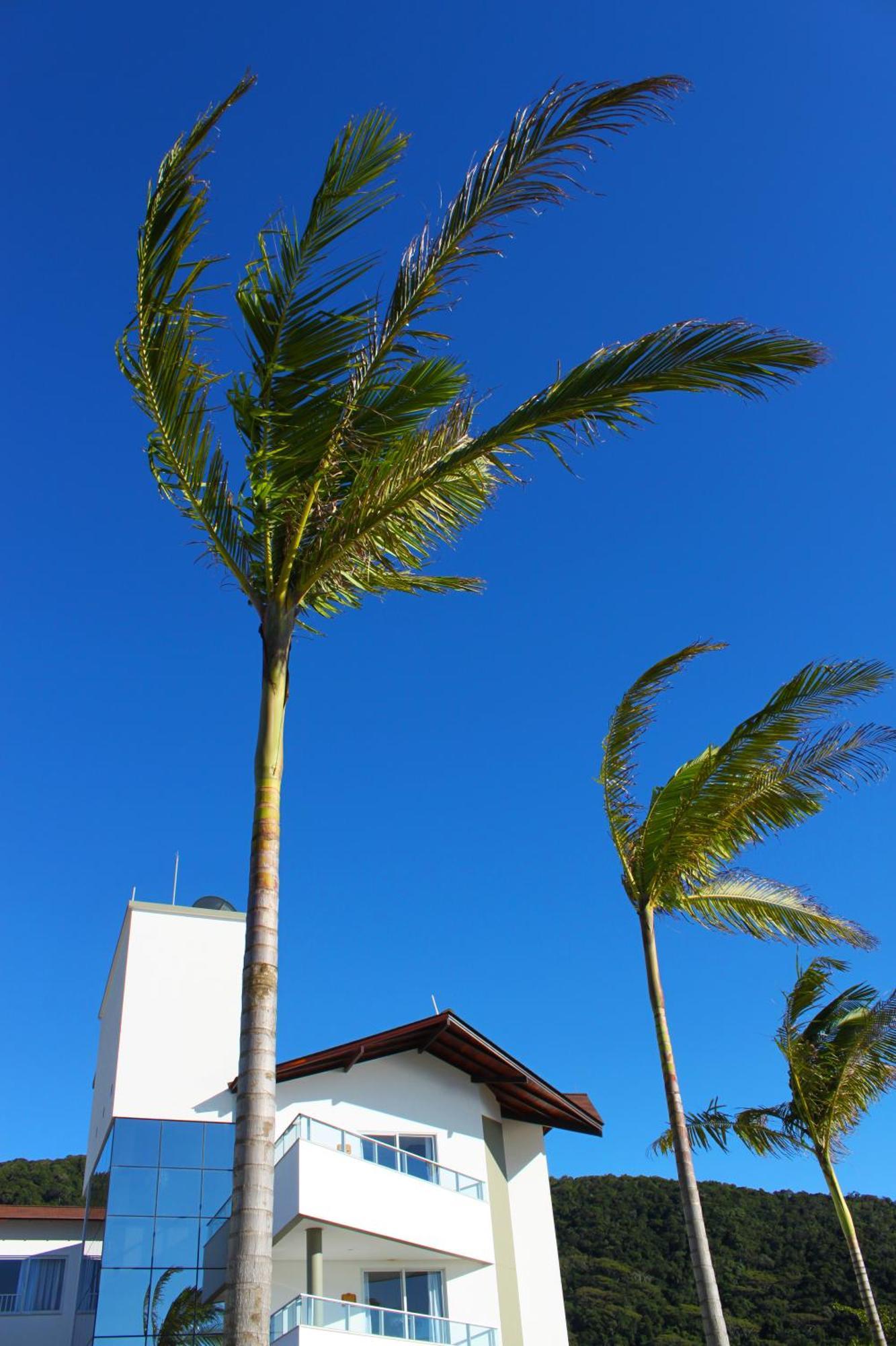 Reserva Praia Hotel Balneário Camboriú Eksteriør bilde